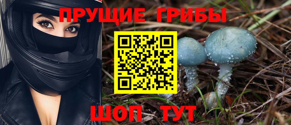 Галлюциногенные грибы Psilocybine cubensis  Псилоцибиновые грибы Cubensis  Вход с VPN  Майкоп 