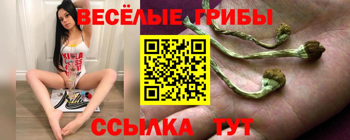 Псилоцибиновые грибы мицелий Майкоп